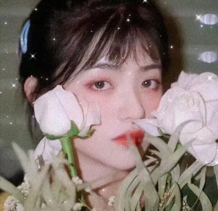 女神捕之绝境